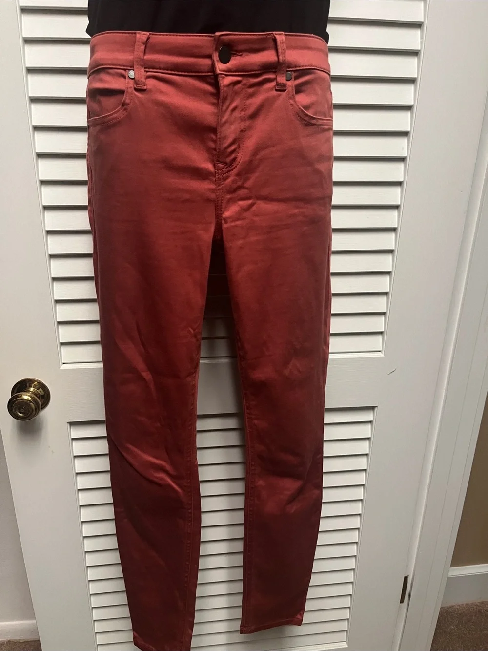 Level 99 Skinny Jeans in Rust
